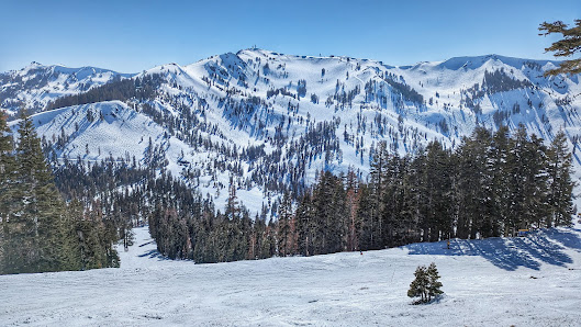 Palisades Tahoe